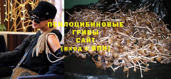 прущие грибы Армянск