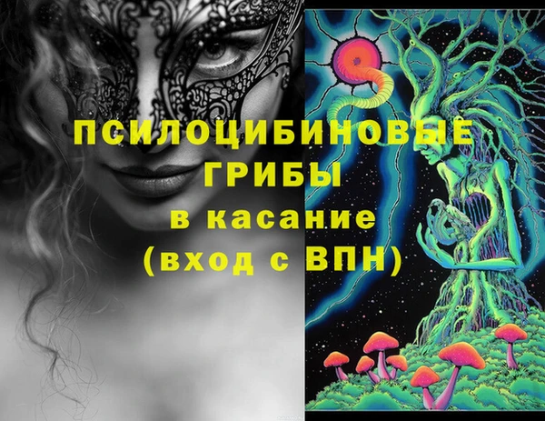 не бодяженный Аркадак