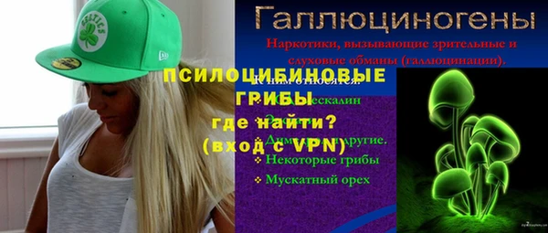 прущие грибы Армянск