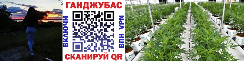 сколько стоит  Белорецк  Канабис план 